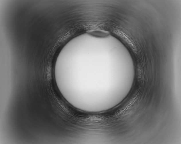 X0000096180489200802081502