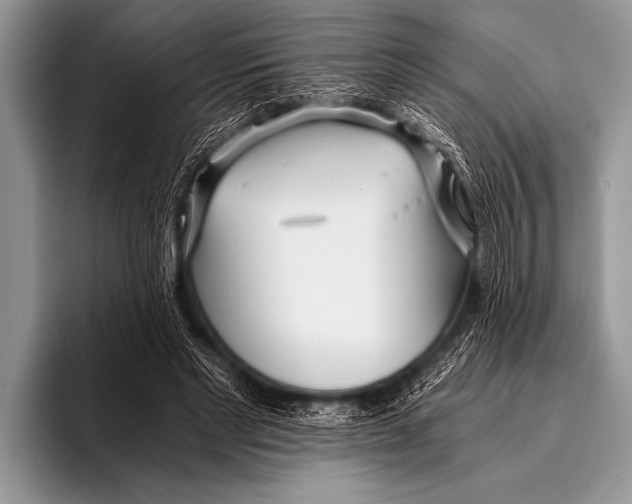 X0000096180493200802081502