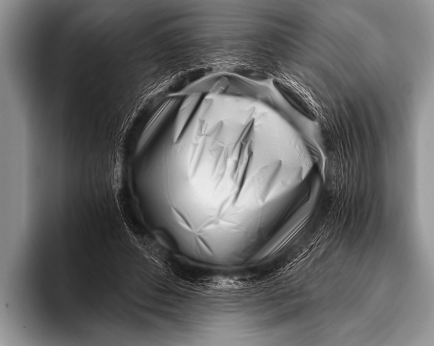 X0000096180496200802081502