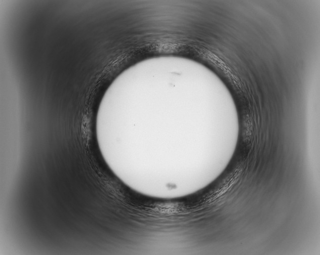X0000096180497200802081502