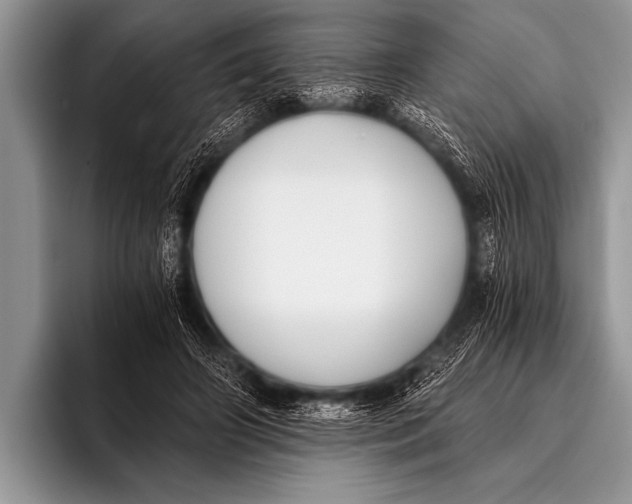 X0000096180498200802081502