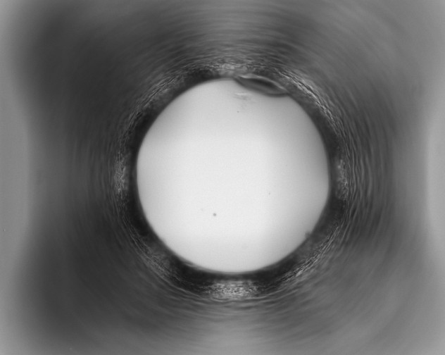 X0000096180499200802081502