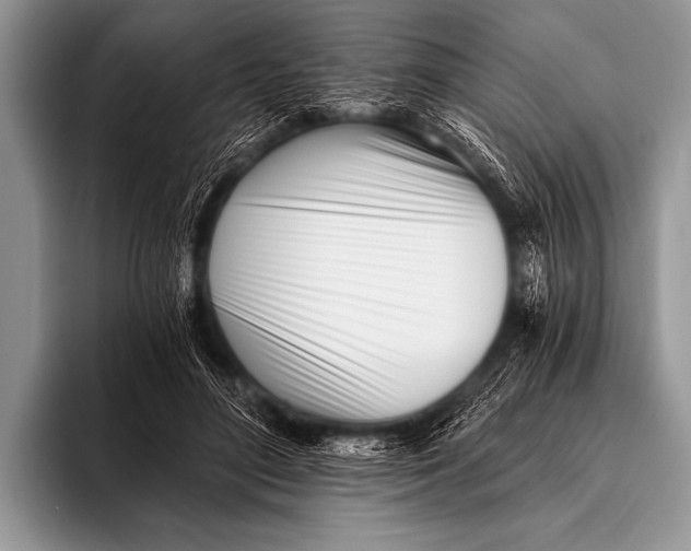 X0000096180500200802081502