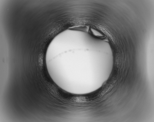 X0000096180501200802081502