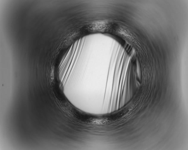 X0000096180504200802081502