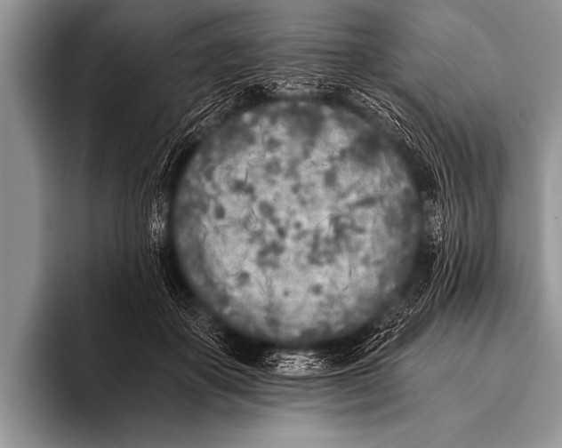 X0000096180507200802081502