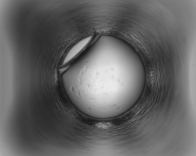 X0000096180508200802081502