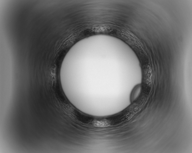 X0000096180510200802081502