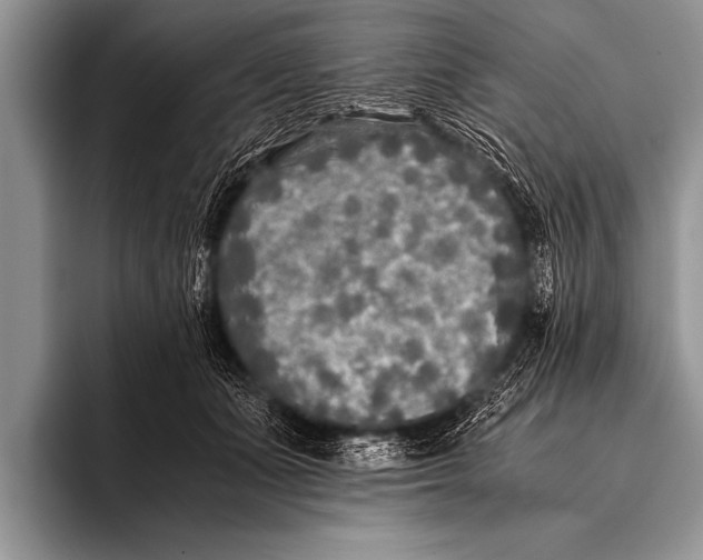 X0000096180511200802081502