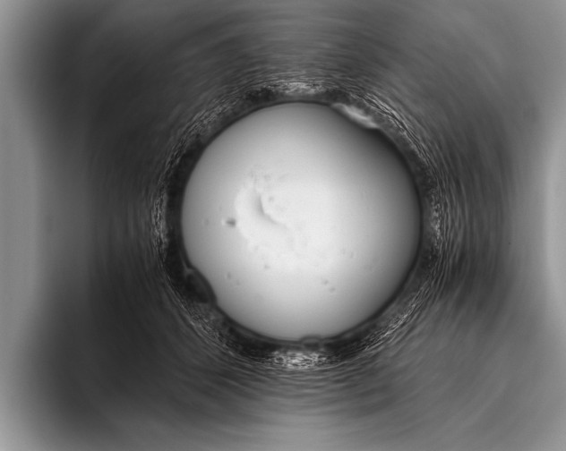 X0000096180512200802081502