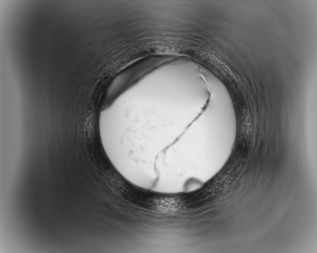 X0000096180513200802081502