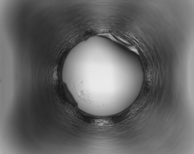 X0000096180516200802081502
