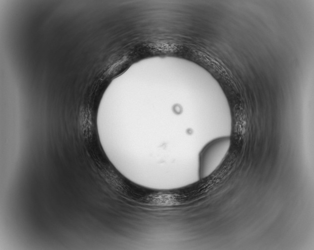 X0000096180518200802081502