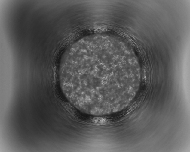 X0000096180519200802081502