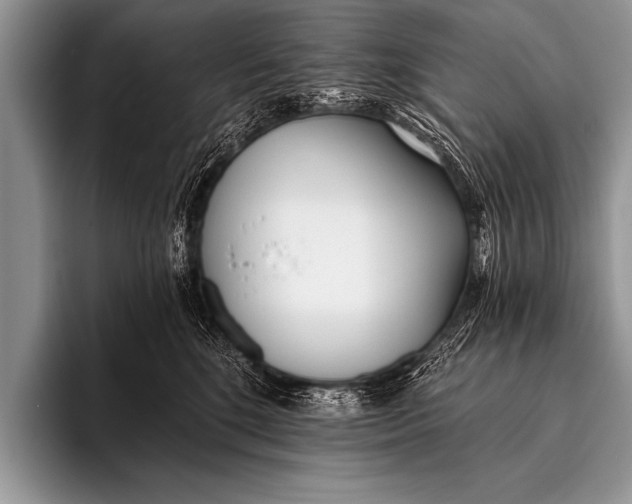 X0000096180520200802081502