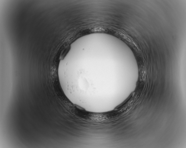 X0000096180521200802081502