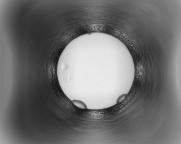 X0000096180522200802081502