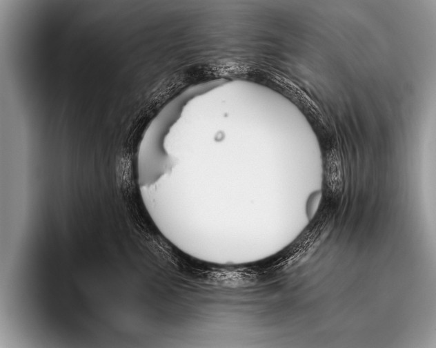 X0000096180523200802081502