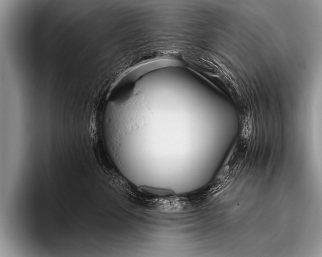 X0000096180524200802081502