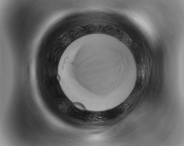 X0000096180526200802081502