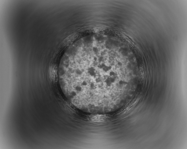 X0000096180527200802081502