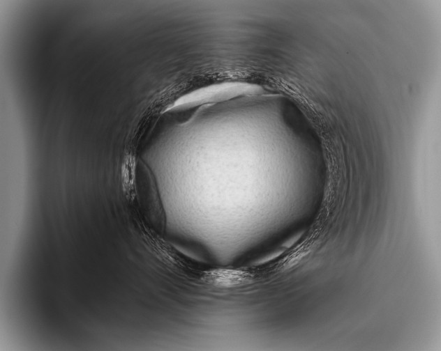 X0000096180528200802081502