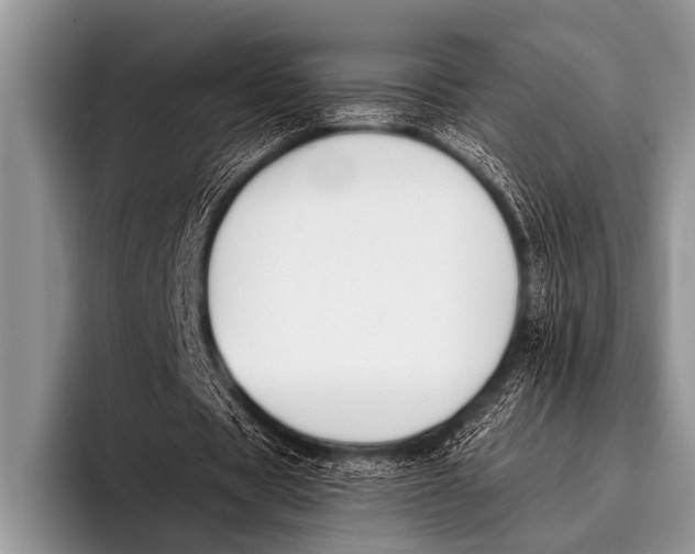 X0000096180529200802081501