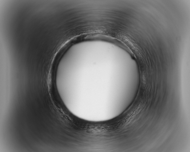 X0000096180532200802081501