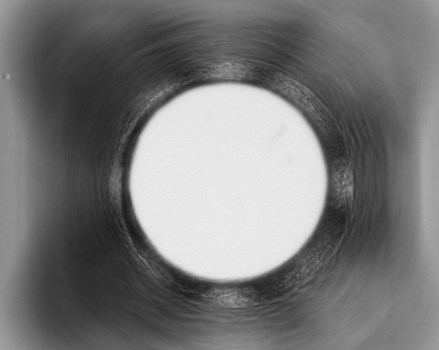 X0000096180534200802081501