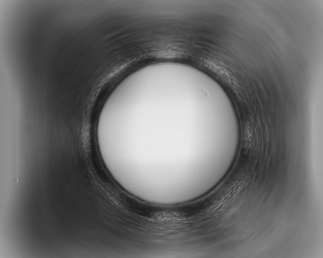 X0000096180535200802081501