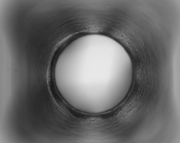 X0000096180536200802081501