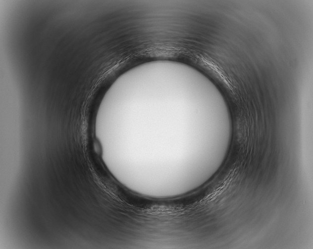 X0000096180538200802081501