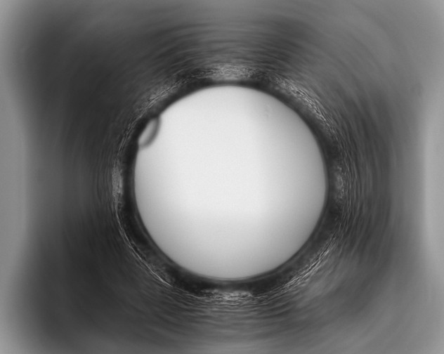 X0000096180539200802081501