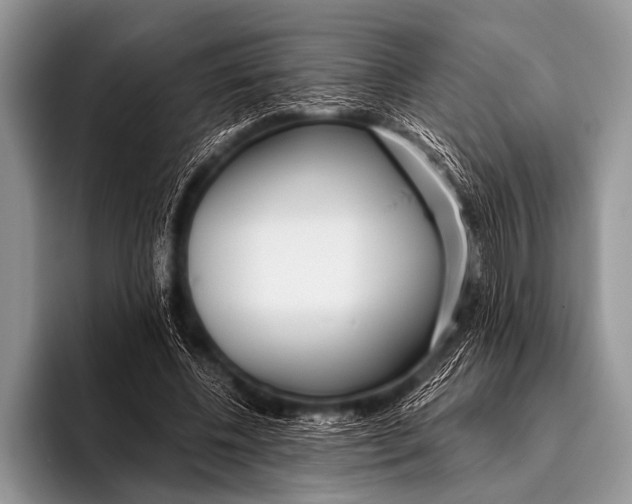 X0000096180540200802081501