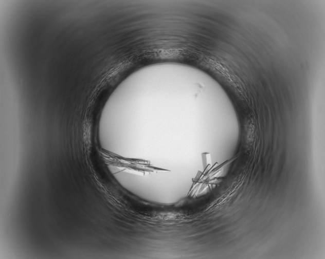 X0000096180542200802081501