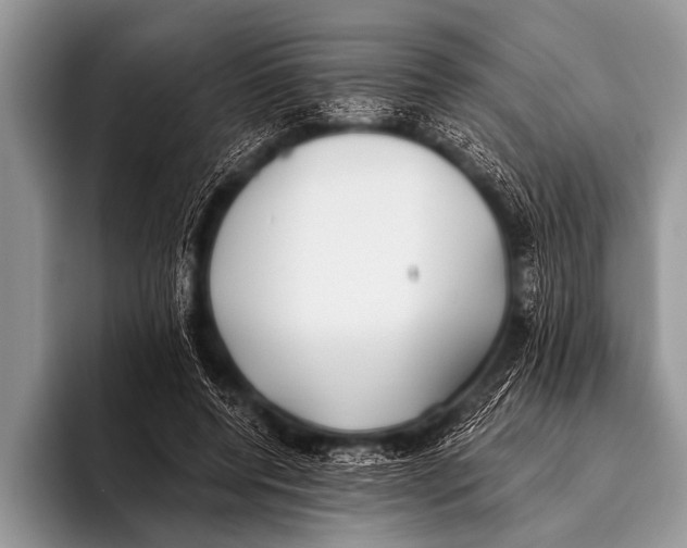 X0000096180544200802081501