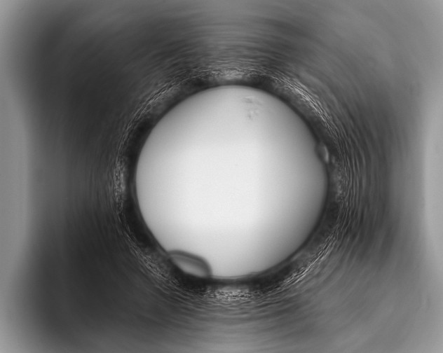 X0000096180546200802081501