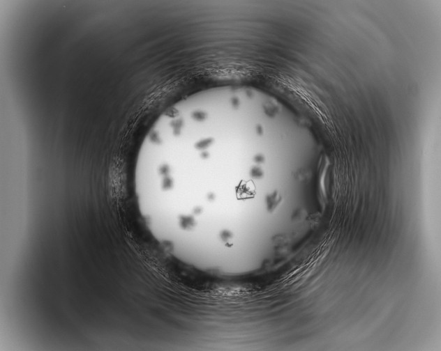 X0000096180547200802081501