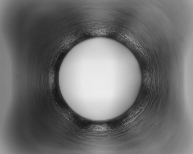 X0000096180548200802081501