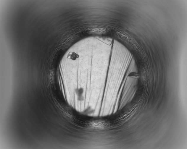 X0000096180551200802081501