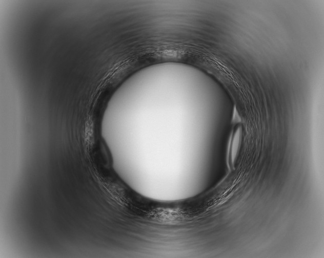 X0000096180552200802081501