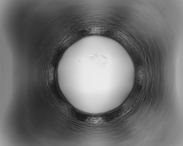 X0000096180554200802081501