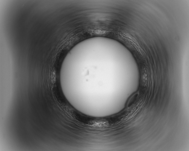 X0000096180555200802081501