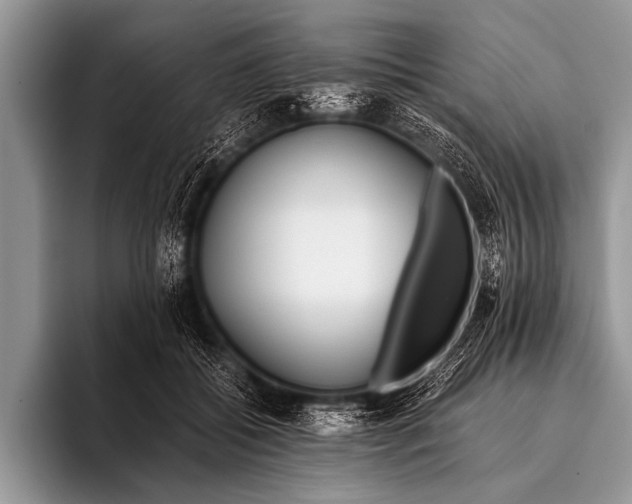 X0000096180556200802081501