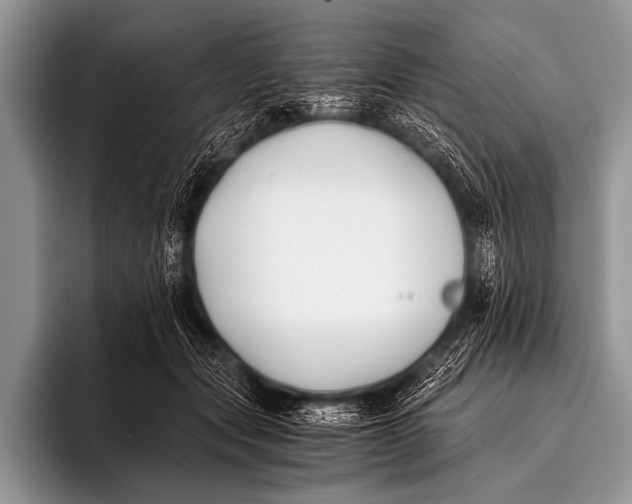 X0000096180557200802081502