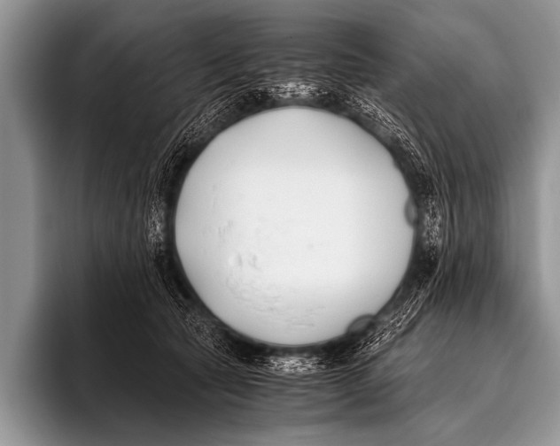 X0000096180561200802081502