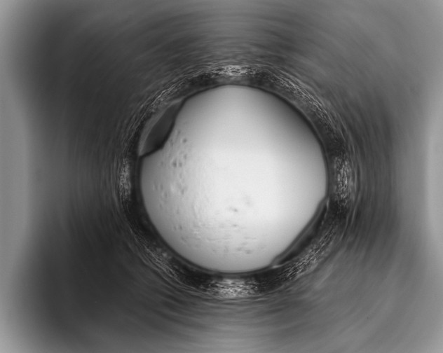 X0000096180562200802081502