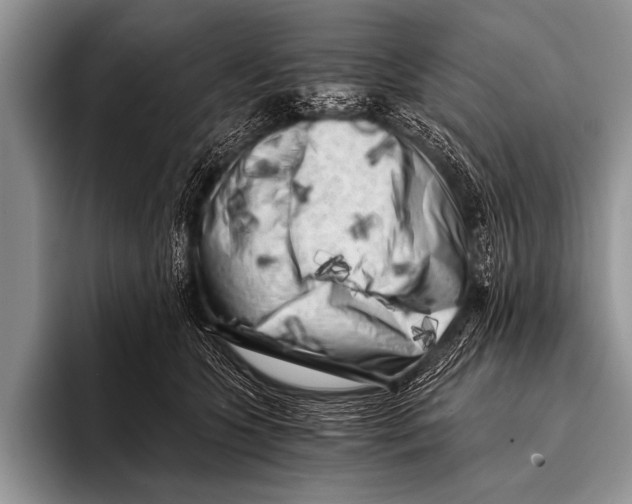 X0000096180563200802081502