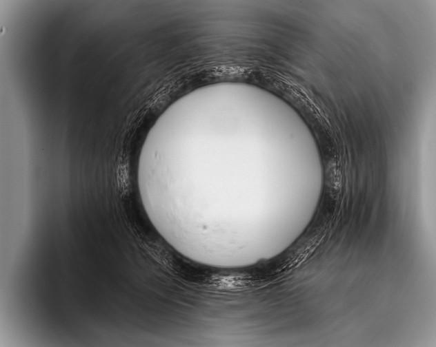 X0000096180564200802081502