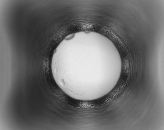 X0000096180565200802081502